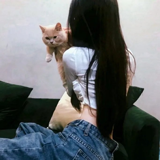 狗狗会说话